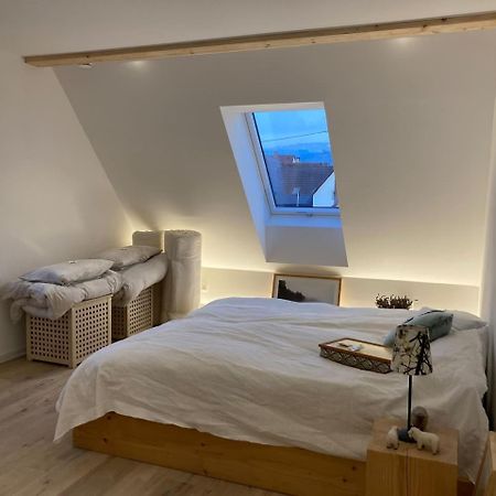 Apartamento Neues Penthouse-Loft Mit Konuskarte Fuer Gratis Oepnv Ehrenkirchen Exterior foto