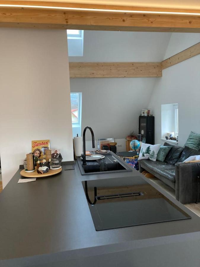 Apartamento Neues Penthouse-Loft Mit Konuskarte Fuer Gratis Oepnv Ehrenkirchen Exterior foto